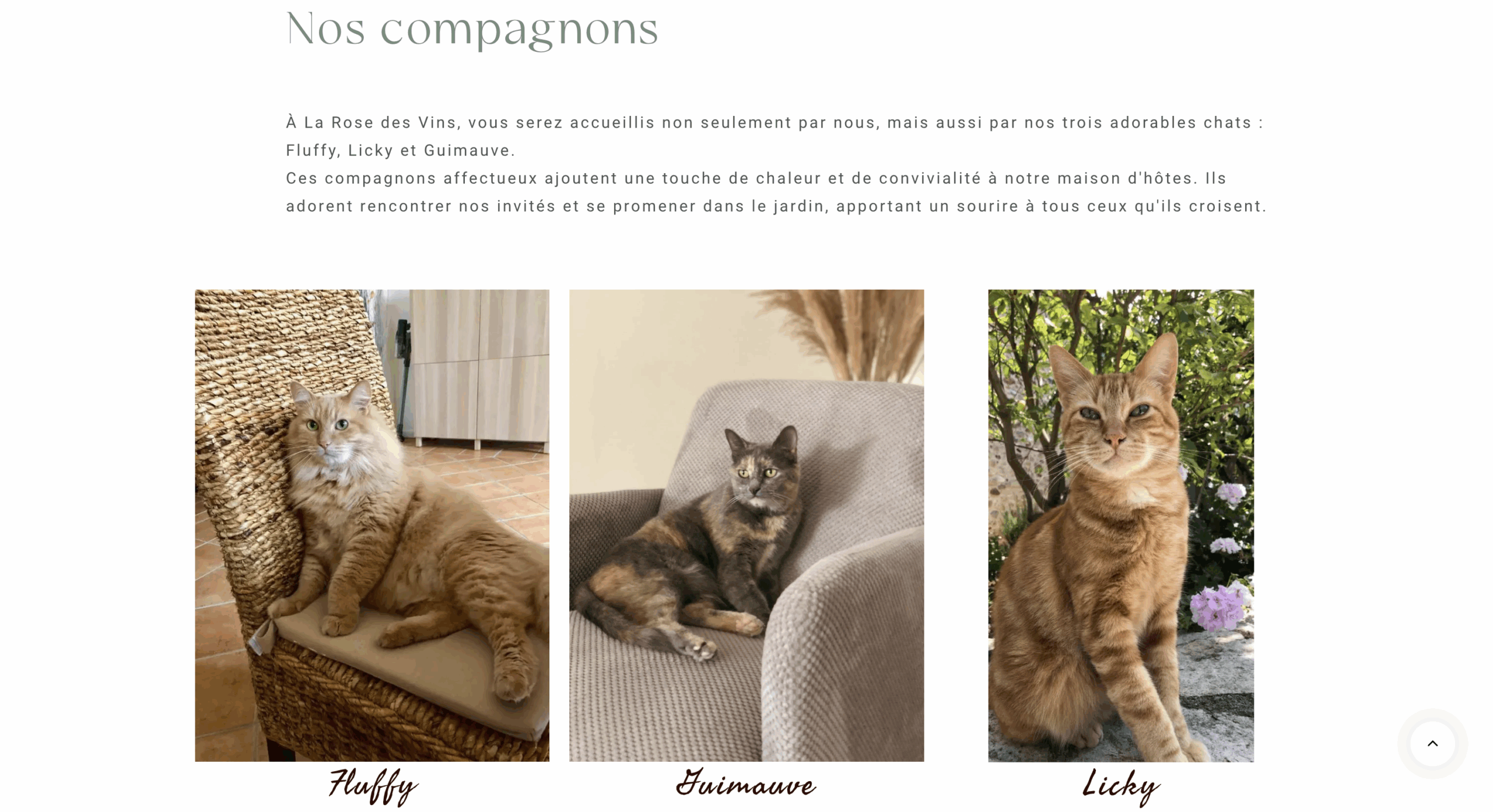 Larosedesvins-6