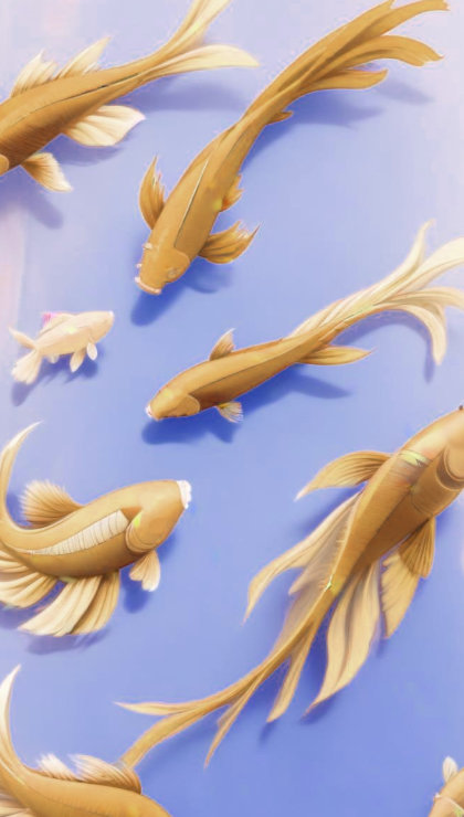 http://img-koi